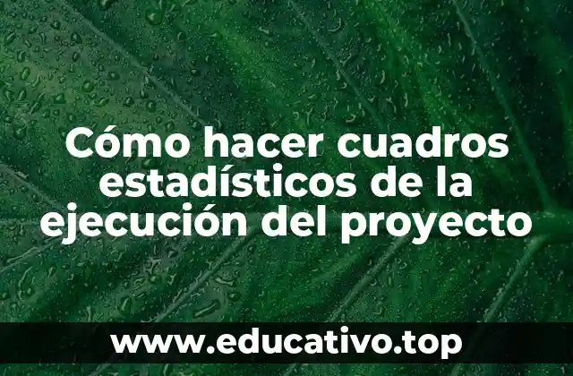 Cómo hacer cuadros estadísticos de la ejecución del proyecto
