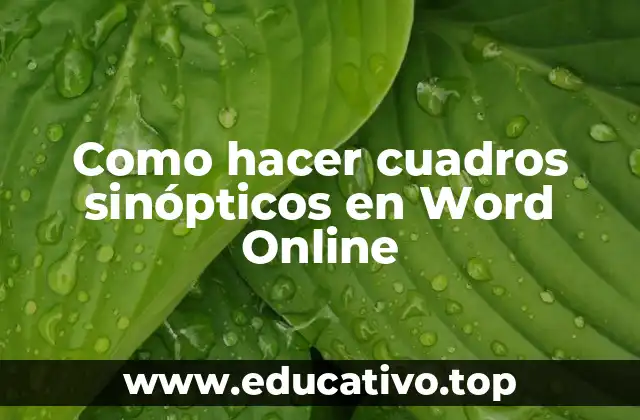 Como hacer cuadros sinópticos en Word Online