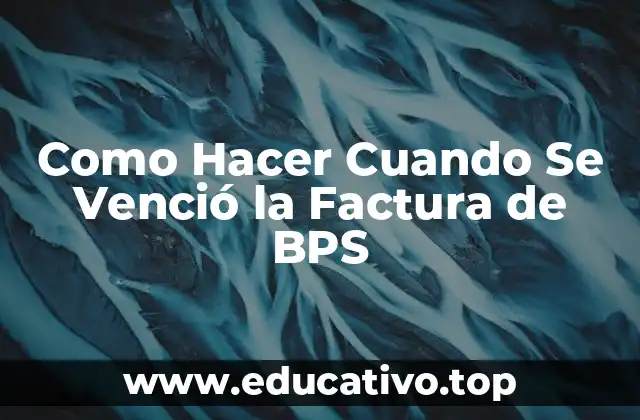 Como Hacer Cuando Se Venció la Factura de BPS