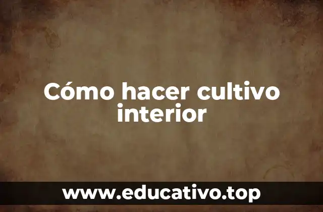 Cómo hacer cultivo interior