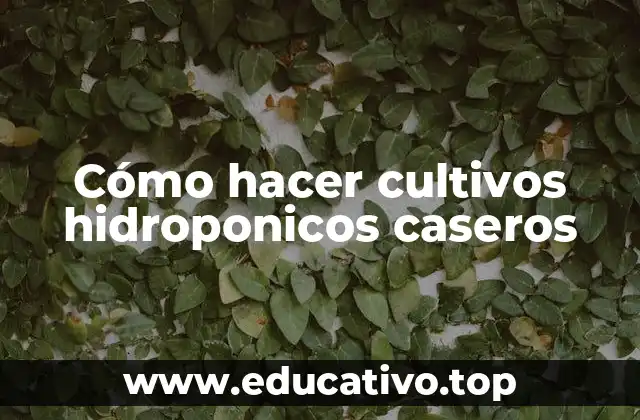 Cómo hacer cultivos hidroponicos caseros