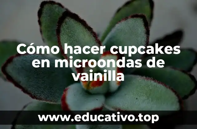 Cómo hacer cupcakes en microondas de vainilla