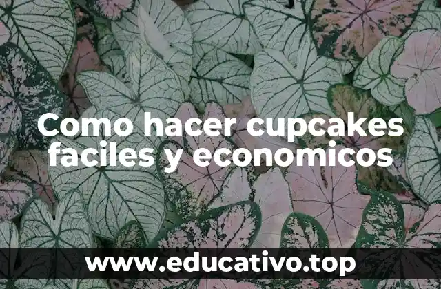 Como hacer cupcakes faciles y economicos