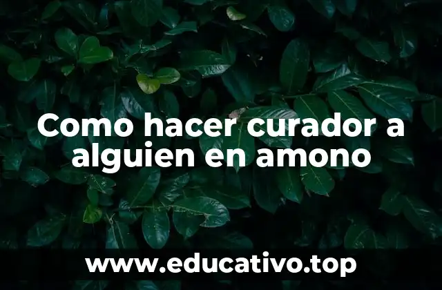 Como hacer curador a alguien en amono