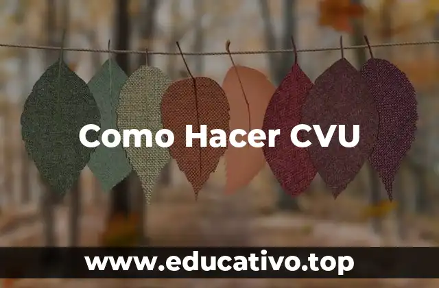 Como Hacer CVU