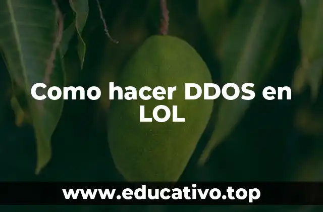 Como hacer DDOS en LOL