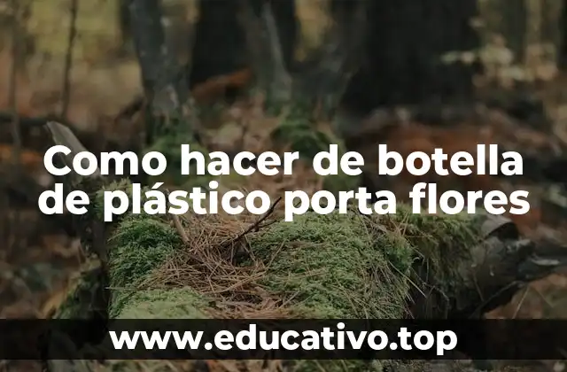 Como hacer de botella de plástico porta flores