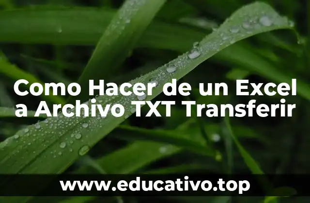Como Hacer de un Excel a Archivo TXT Transferir