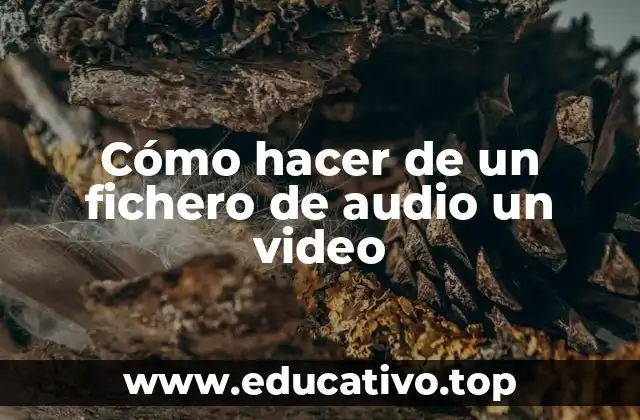 Cómo hacer de un fichero de audio un video