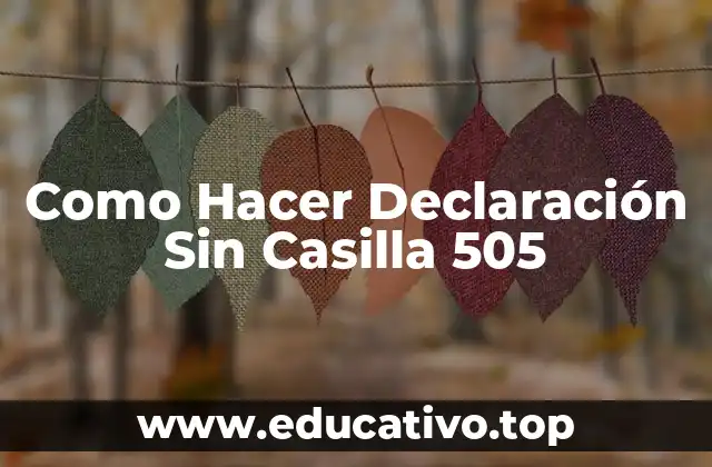 Como Hacer Declaración Sin Casilla 505