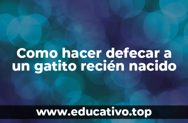 Como hacer defecar a un gatito recién nacido