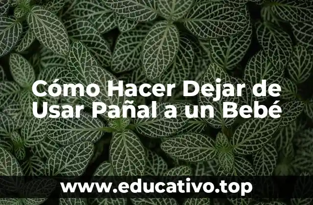Cómo Hacer Dejar de Usar Pañal a un Bebé