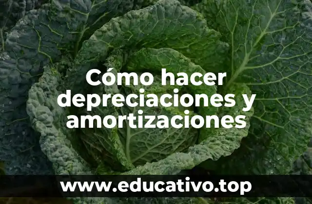 Cómo hacer depreciaciones y amortizaciones