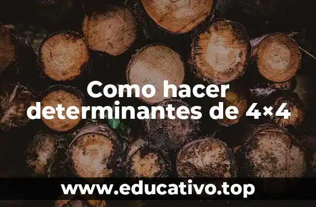 Como hacer determinantes de 4×4