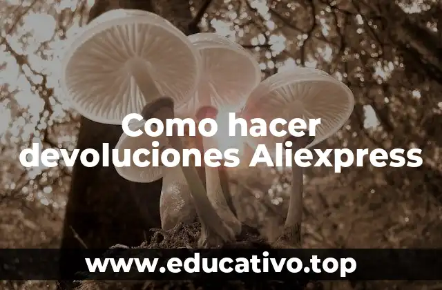 Como hacer devoluciones Aliexpress