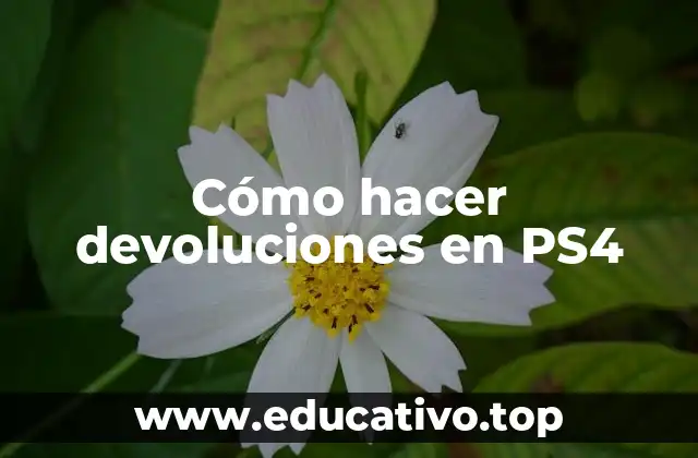 Cómo hacer devoluciones en PS4