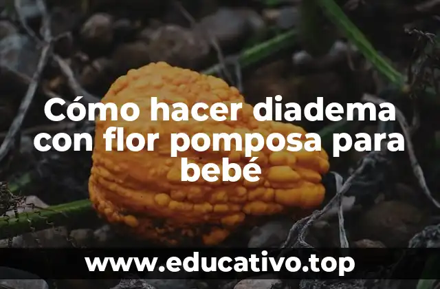 Cómo hacer diadema con flor pomposa para bebé