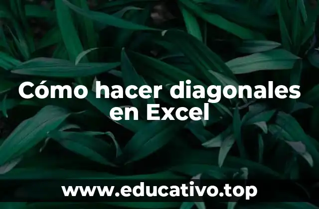 Cómo hacer diagonales en Excel