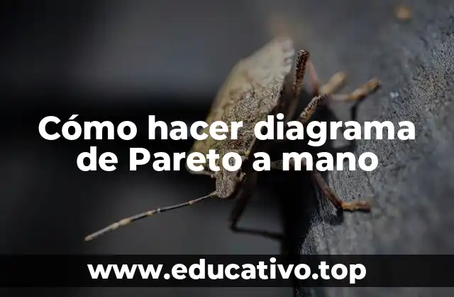 Cómo hacer diagrama de Pareto a mano