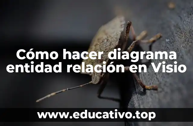 Cómo hacer diagrama entidad relación en Visio