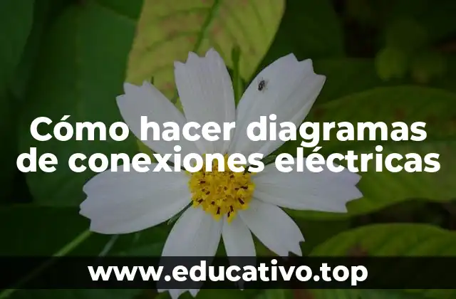 Cómo hacer diagramas de conexiones eléctricas
