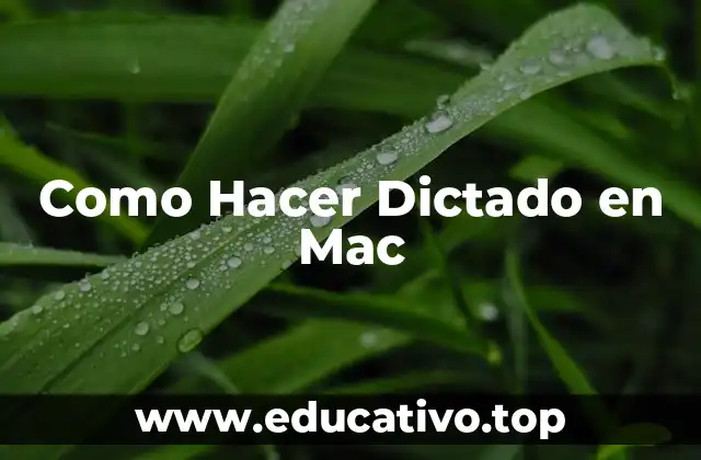 Como Hacer Dictado en Mac
