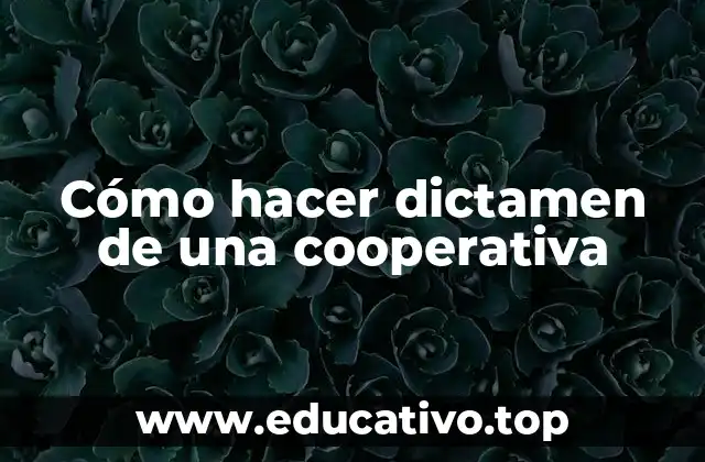 Cómo hacer dictamen de una cooperativa