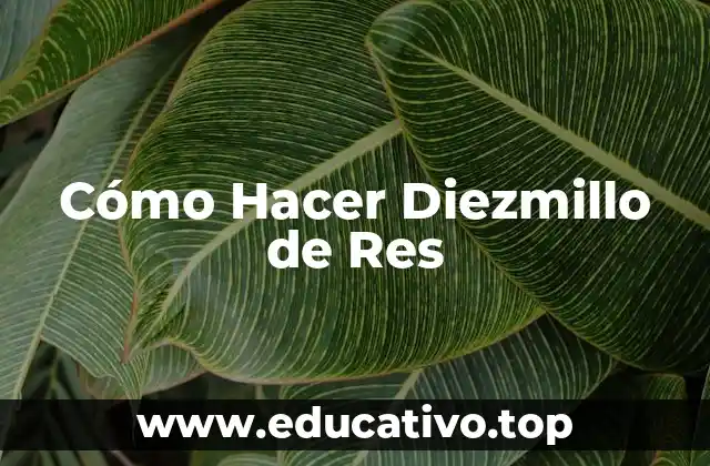 Cómo Hacer Diezmillo de Res