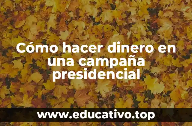Cómo hacer dinero en una campaña presidencial