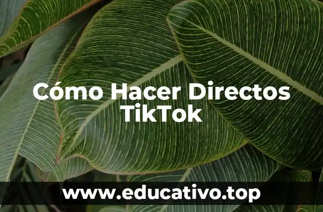 Cómo Hacer Directos TikTok