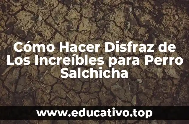 Cómo Hacer Disfraz de Los Increíbles para Perro Salchicha