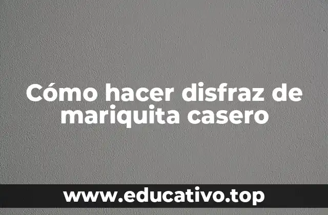 Cómo hacer disfraz de mariquita casero