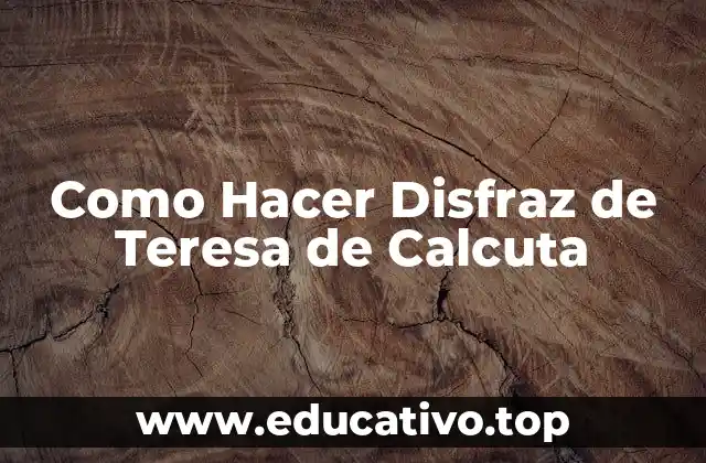 Como Hacer Disfraz de Teresa de Calcuta