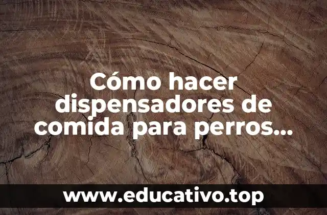 Cómo hacer dispensadores de comida para perros callejeros