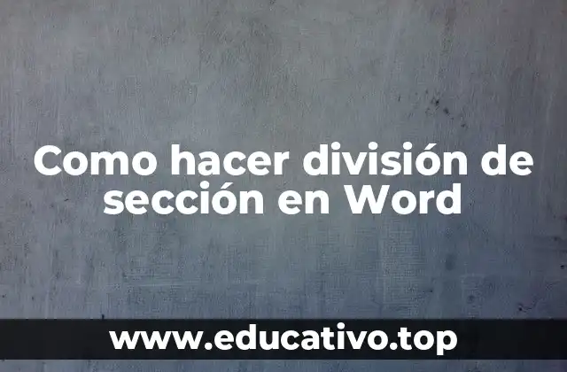 Como hacer división de sección en Word