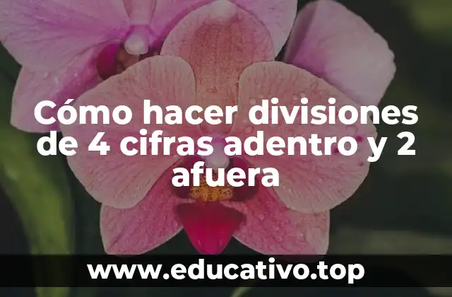 Cómo hacer divisiones de 4 cifras adentro y 2 afuera