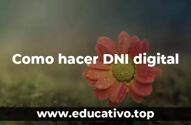 Como hacer DNI digital
