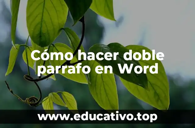 Cómo hacer doble parrafo en Word