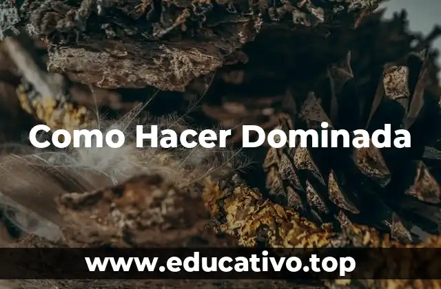 Como Hacer Dominada