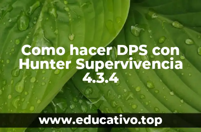 Como hacer DPS con Hunter Supervivencia 4.3.4