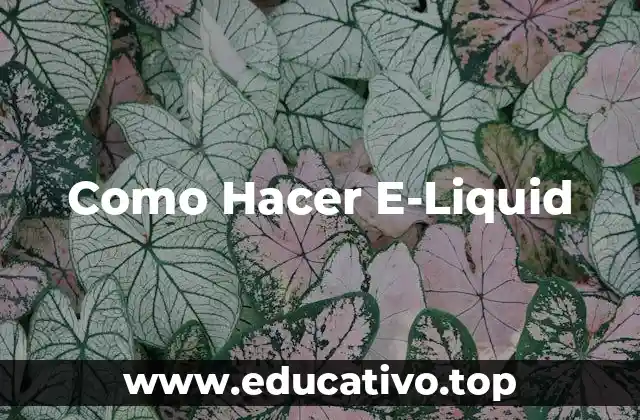 Como Hacer E-Liquid