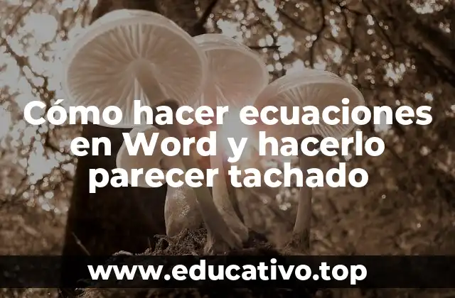 Cómo hacer ecuaciones en Word y hacerlo parecer tachado