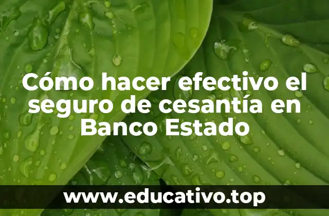 Cómo hacer efectivo el seguro de cesantía en Banco Estado