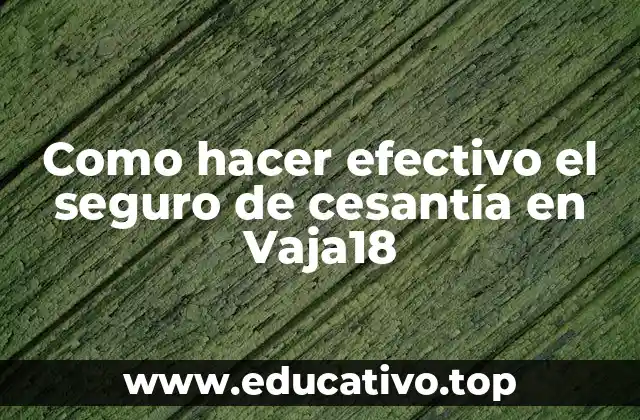 Como hacer efectivo el seguro de cesantía en Vaja18