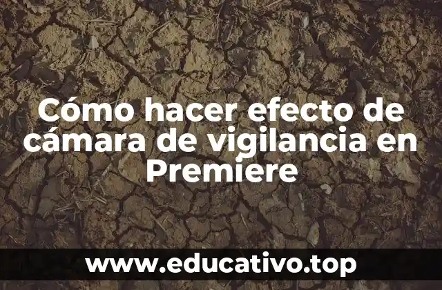 Cómo hacer efecto de cámara de vigilancia en Premiere