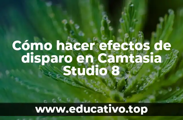 Cómo hacer efectos de disparo en Camtasia Studio 8