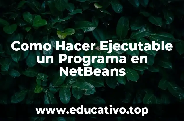 Como Hacer Ejecutable un Programa en NetBeans