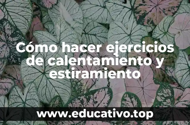 Cómo hacer ejercicios de calentamiento y estiramiento
