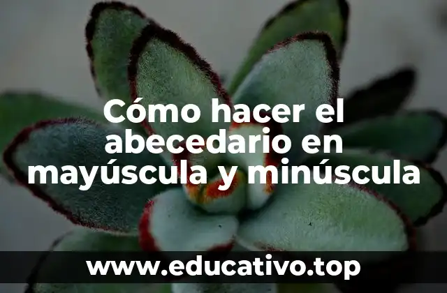 Cómo hacer el abecedario en mayúscula y minúscula