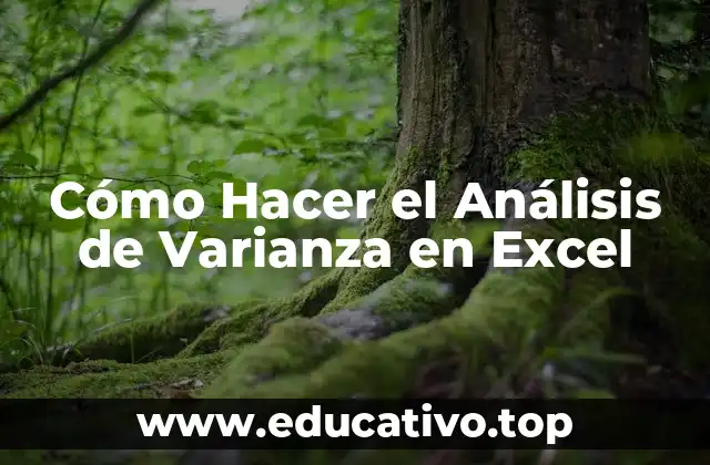Cómo Hacer el Análisis de Varianza en Excel